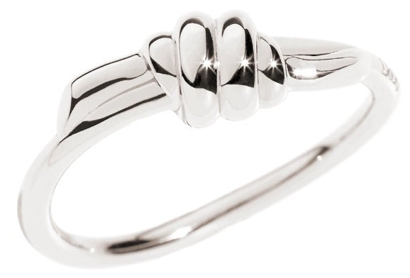 Dodo Minimalist Silver Ring with Dual Tones