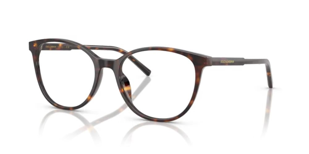 Timeless Tortoiseshell Elegance in Acetate Frames