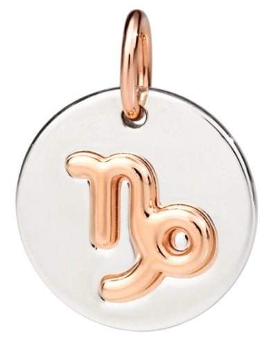 Celestial Harmony Zodiac Pendant Charm